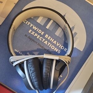 Sony Black/ Gray Headphones MDR-ZX660